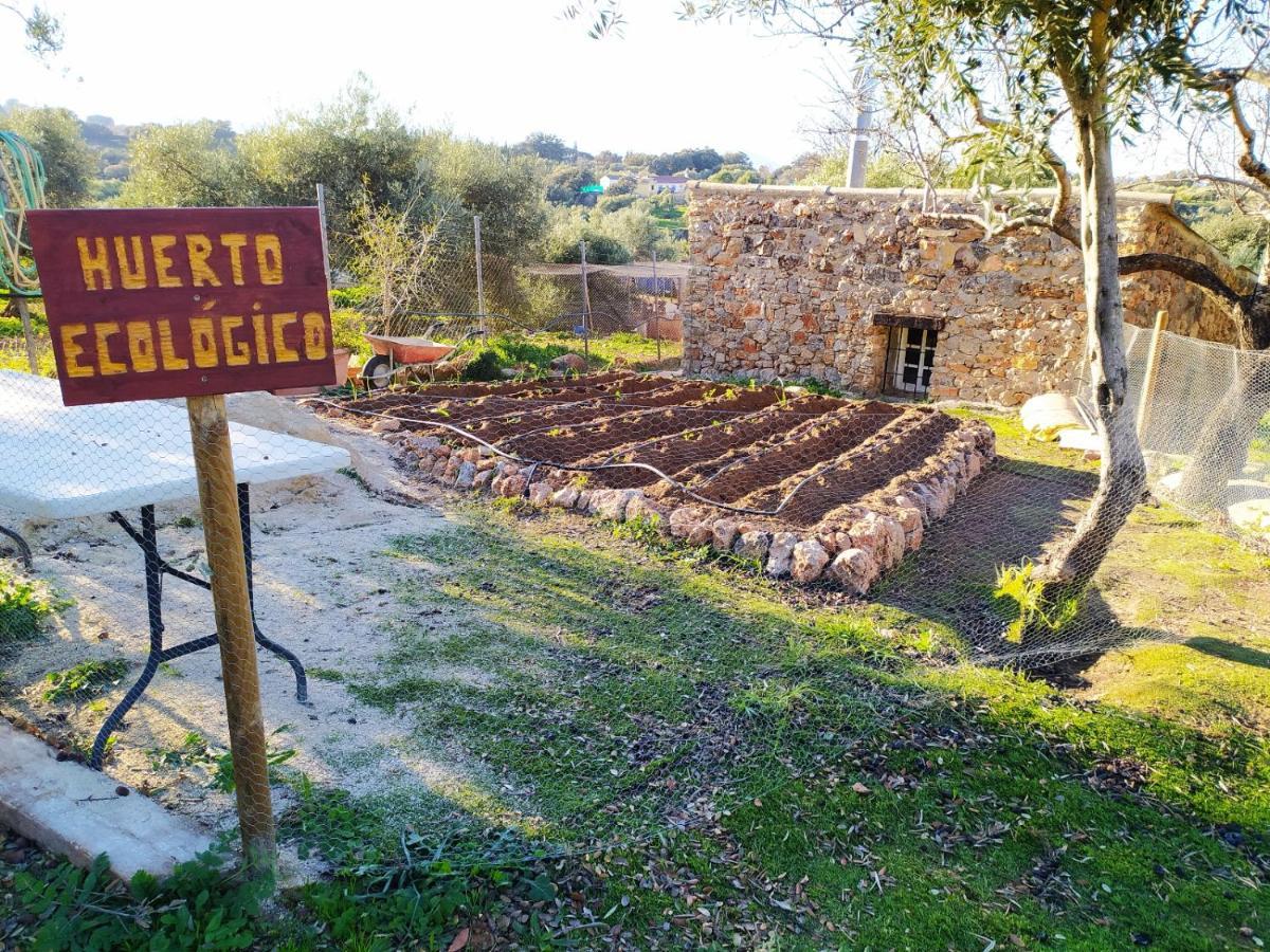 Casa Rural Bellavista Ronda Kültér fotó