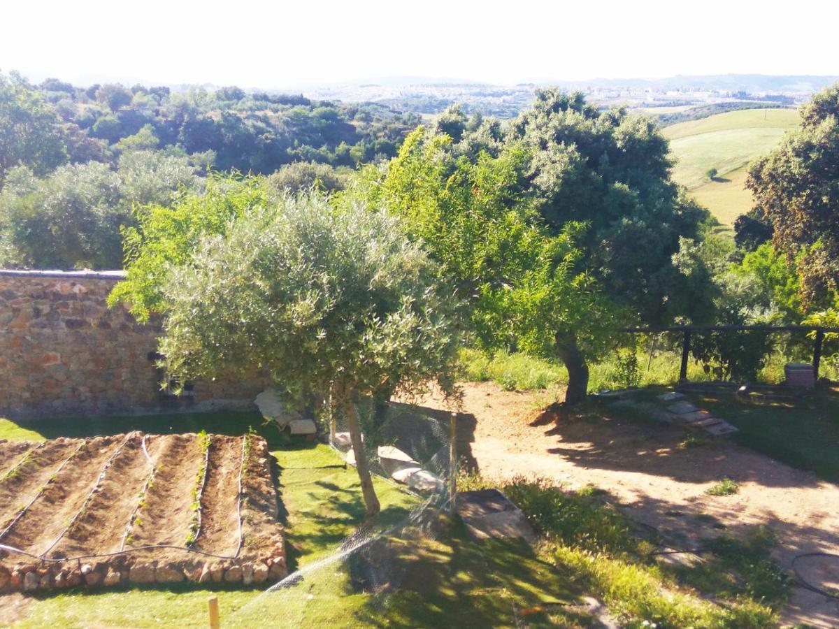 Casa Rural Bellavista Ronda Kültér fotó
