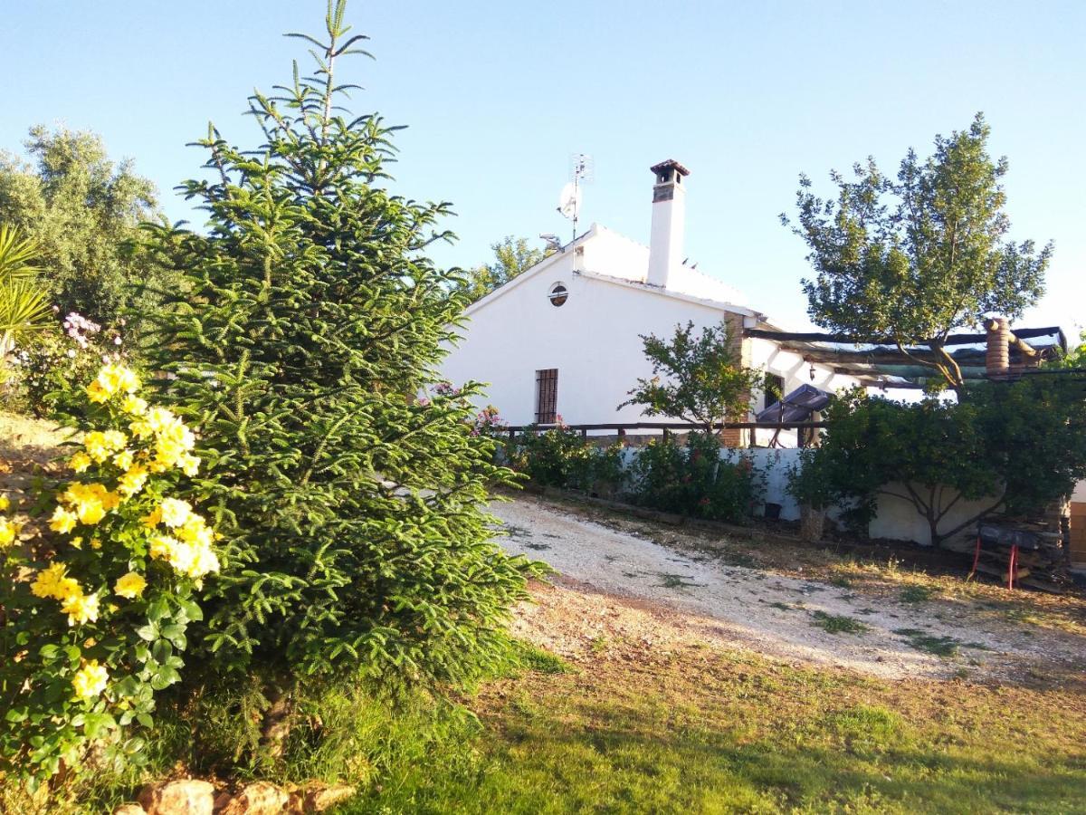 Casa Rural Bellavista Ronda Kültér fotó
