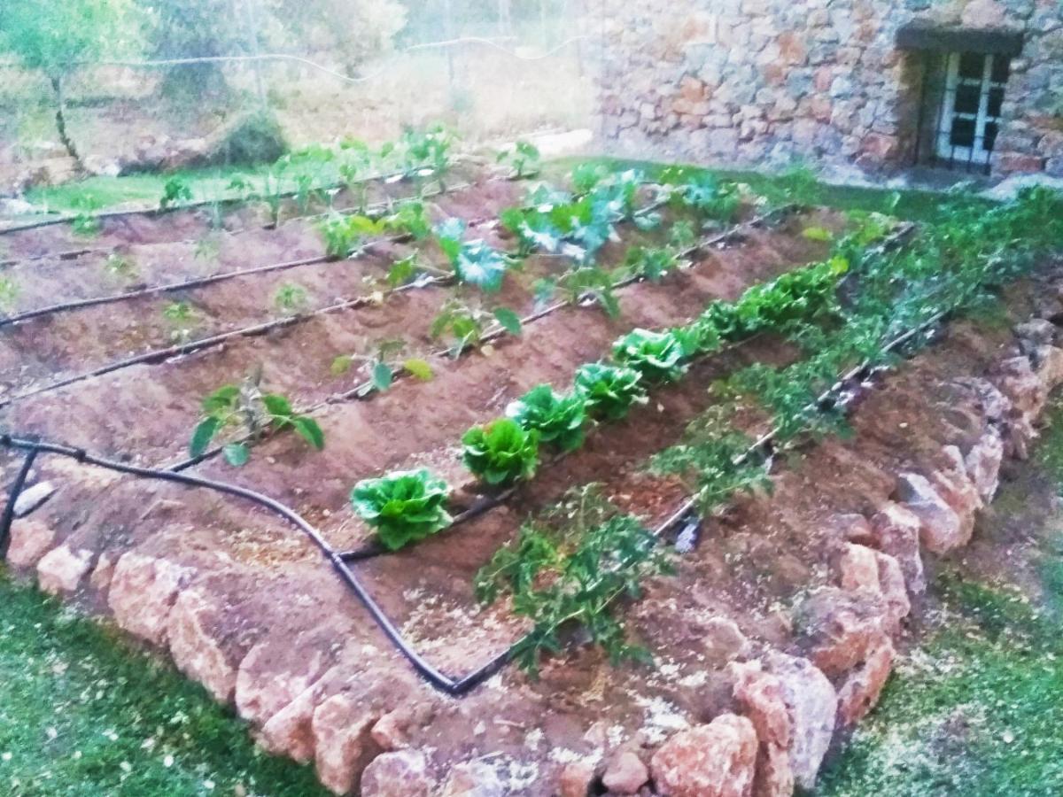 Casa Rural Bellavista Ronda Kültér fotó